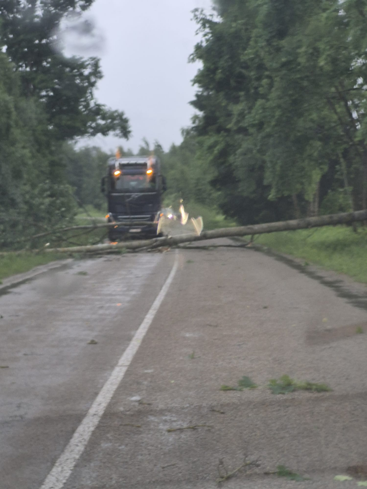 Līdz vakaram glābēji saņēmuši 19 izsaukumu uz vēja nodarītiem postījumiem