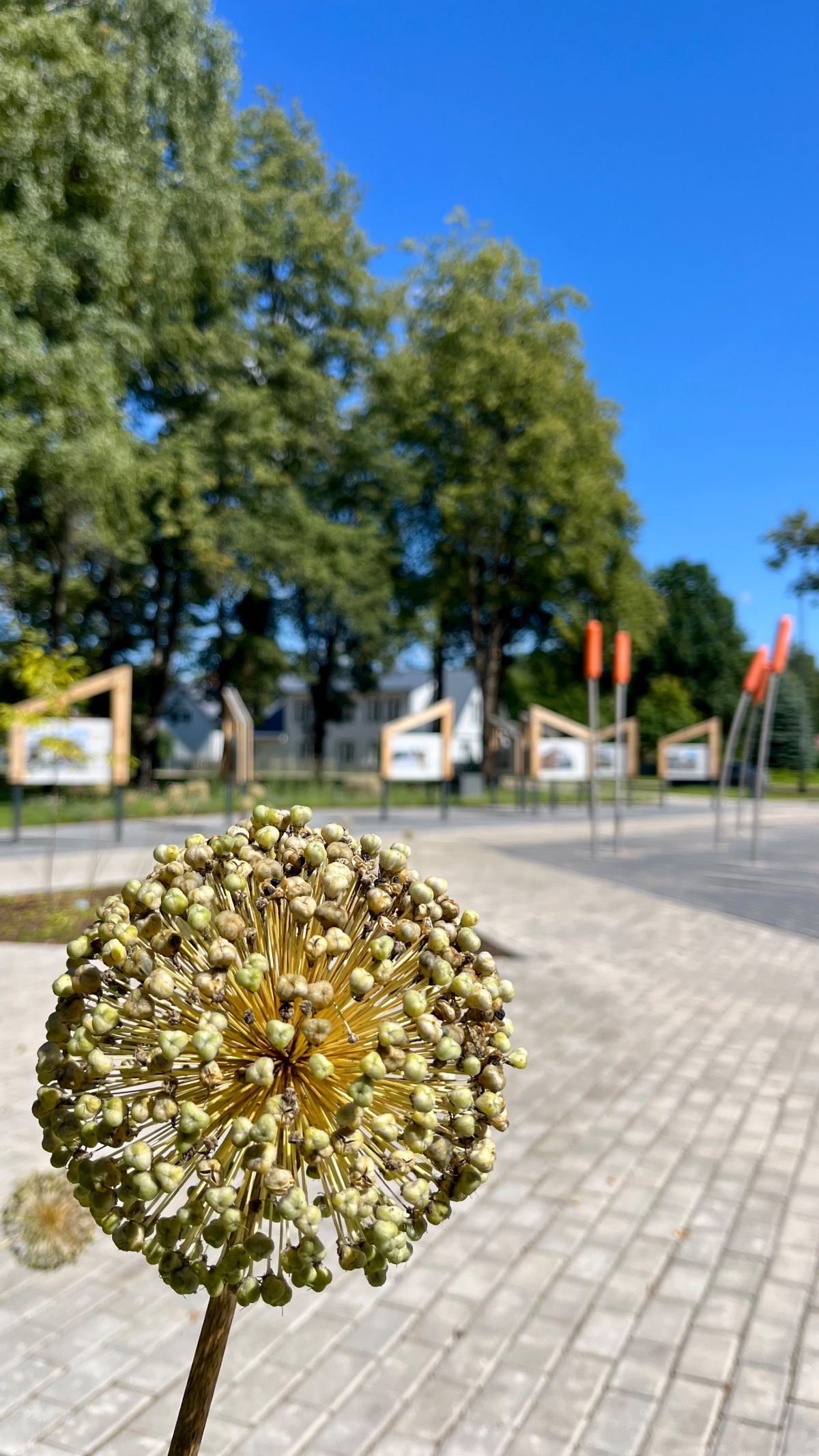 Augusta otrā puse sāksies ar mainīgiem laikapstākļiem