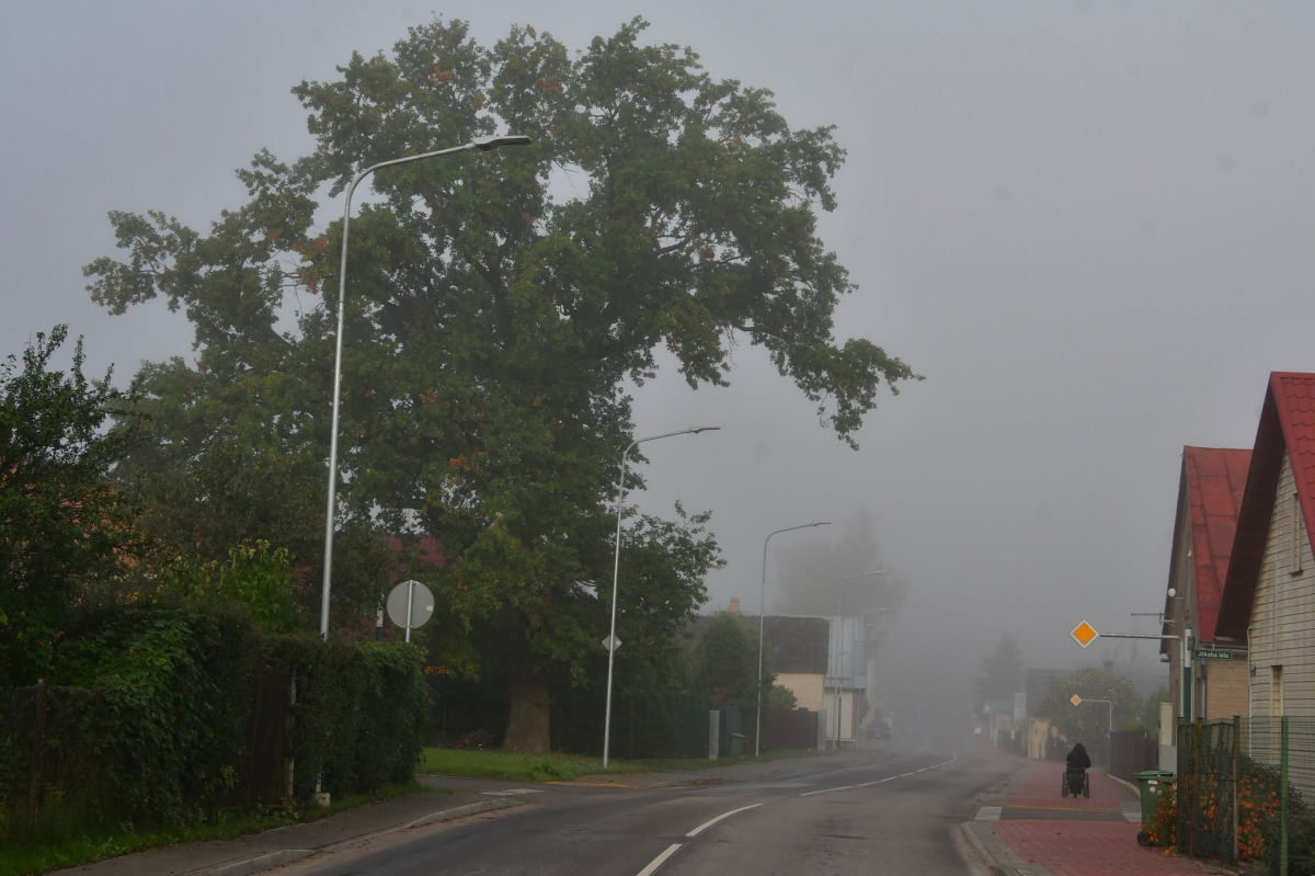 Novembra sākumā kļūs nedaudz vēsāks, pieaugs slapja sniega varbūtība