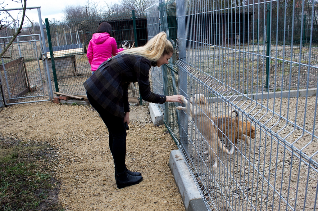 „Cita atpūta” viesojas Jēkabpils dzīvnieku patversmē (FOTO)