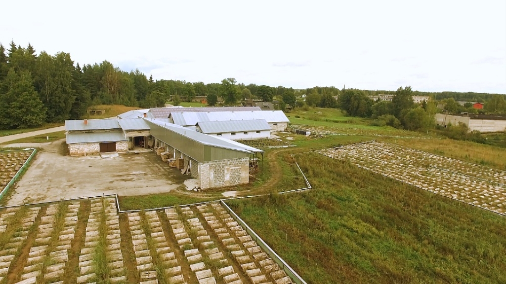 VIDEO: Jēkabpils apkaimē veiksmīgi darbojas gliemežu ferma "Snail land"