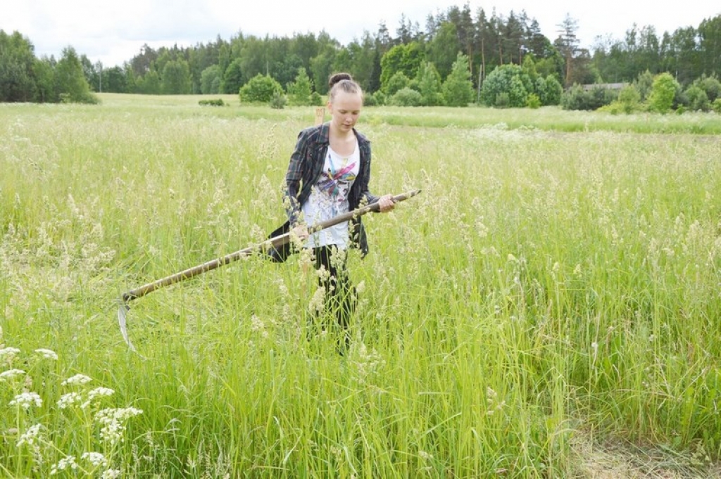 Pļaviņu novada kausa izcīņas sacensības pļaušanā ar rokas izkapti(FOTO)