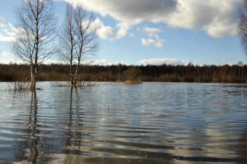 Diennakts laikā vistraujāk ūdens līmenis cēlies Aiviekstē