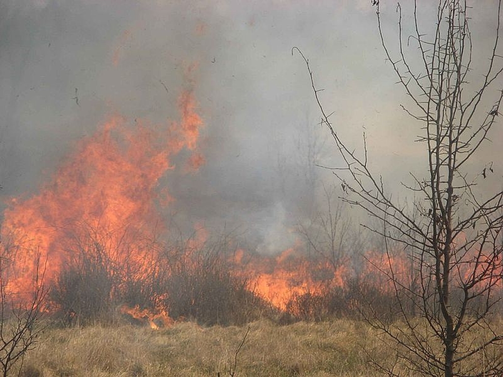 Sākas mežu ugunsnedrošais periods