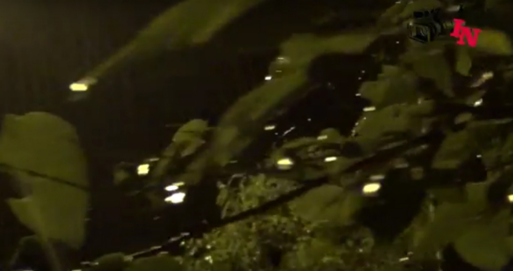 VIDEO: Jūlija nakts lietus