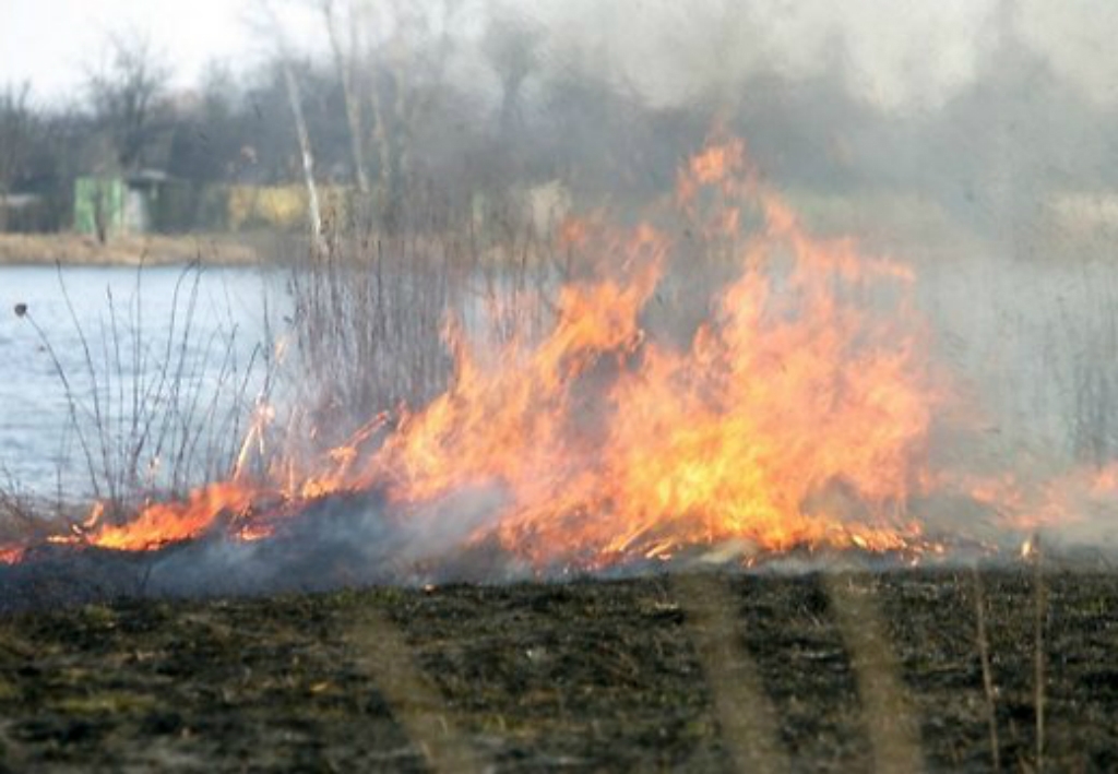 Jēkabpils kūlas ugunsgrēku skaita ziņā – trešajā vietā