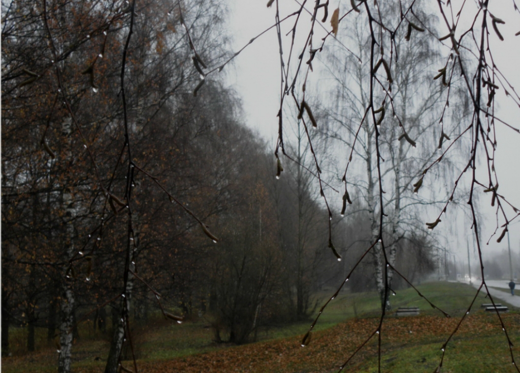 Nākamā plašā lietus zona Latviju šķērsos svētdien