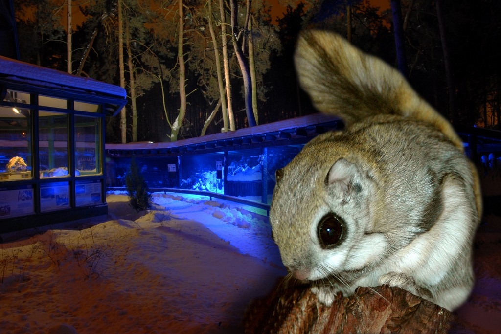 Jaunumi Rīgas Zooloģiskajā dārzā