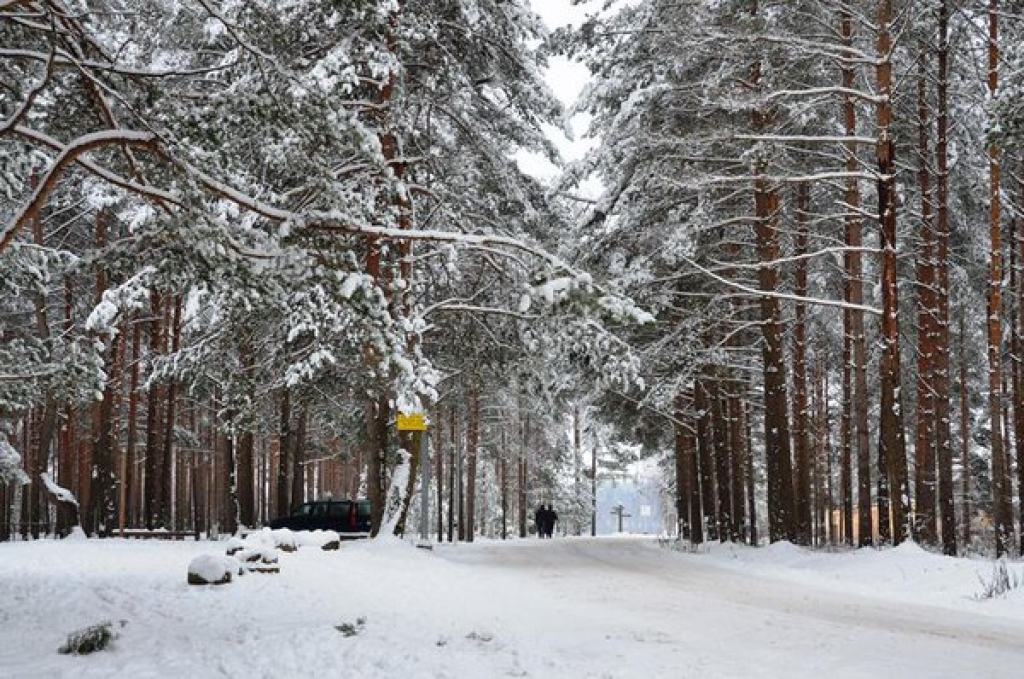 Šonedēļ Jēkabpilī – Ziemas jampadracis, Pasaules sniega diena un dažādas sacensības