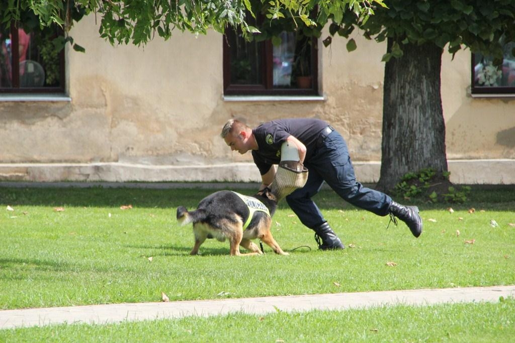 Jēkabpils tirgū dienesta suns Darvins uziet prāvu nelegālo cigarešu daudzumu (FOTO)