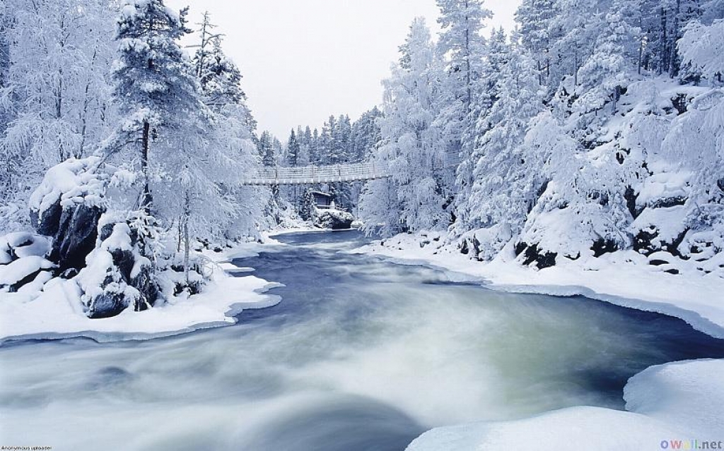 Daigas Kalniņas fotogrāfiju izstāde “ES mīlu ZIEMU”