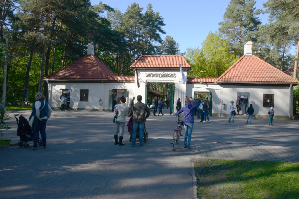 Jaunumi Rīgas Zooloģiskajā dārzā