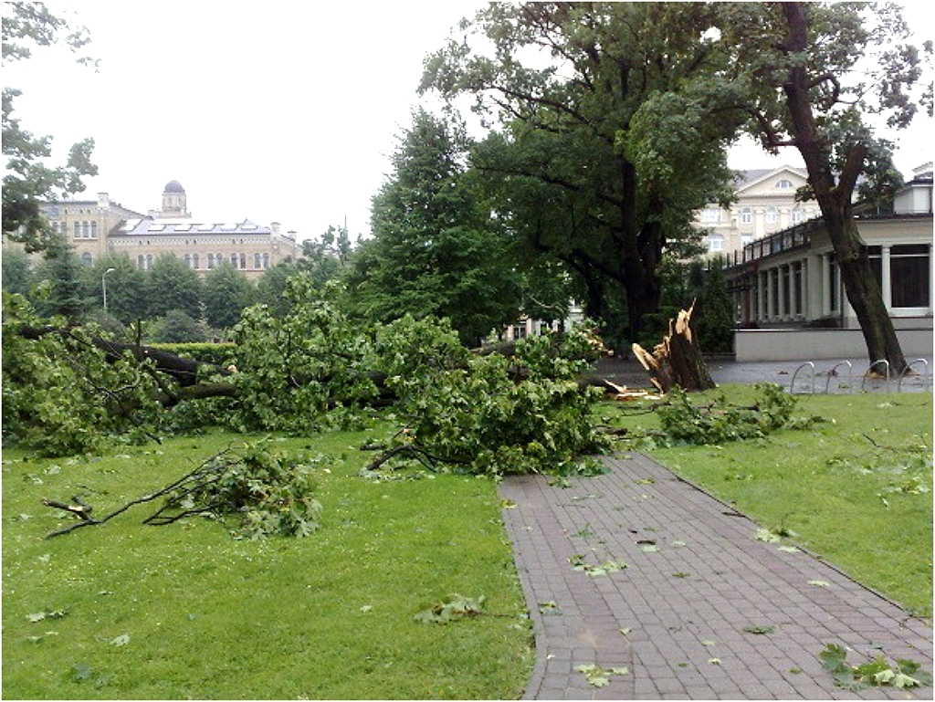 Lai likvidētu negaisa sekas veikti 55 glābšanas darbi (PIEVIENOTS FOTO)