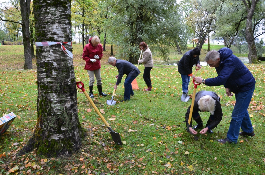 Kena parkā iestāda krokusus