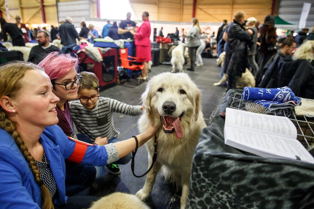 Gūsti prieku mīļdzīvnieku izstādē “PetExpo 2017”!