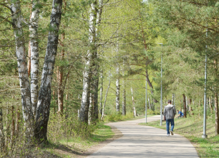 Maija izskaņu vēl nesola patiesi vasarīgu, vairāk līs Latvijas austrumu daļā