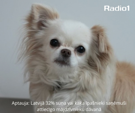 Aptauja: Latvijā 32 procenti suņa vai kaķa īpašnieki saņēmuši attiecīgo mājdzīvnieku dāvanā