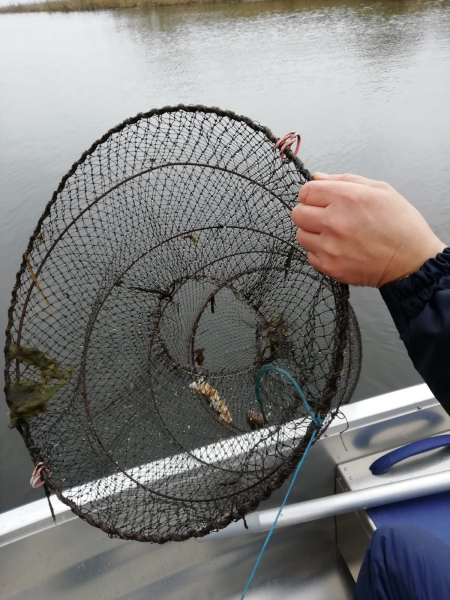 Jēkabpils dome aptur rūpnieciskās zvejas iespējas Daugavā