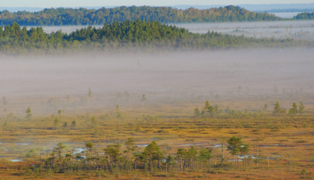 Uzsākta Teiču rezervāta dabas aizsardzības plāna izstrāde