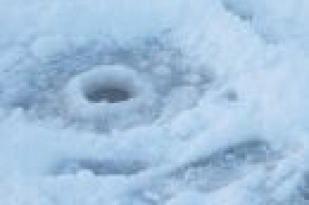 Dīķos pastāv risks zivju noslāpšanai; Tuvākajās naktīs atgriezīsies lielāks sals