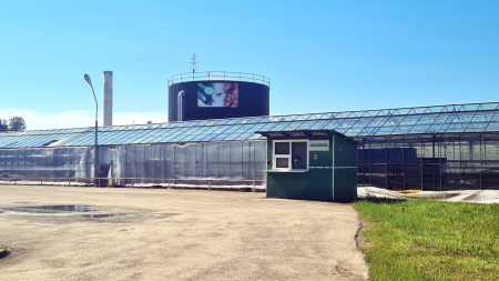 Izbeigta dārzeņu audzētāja "Rītausma" darbība