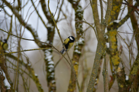 Jēkabpilī brīvdienās pārspēts siltuma rekords; Arī nedēļas otrajā pusē vietām gaiss iesils līdz plus 10 grādiem