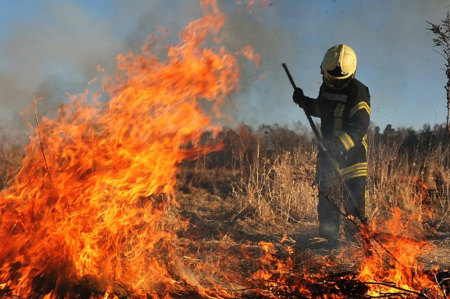 Jēkabpilī, Ķieģeļu ielā dzēsta kūla pushektāra platībā