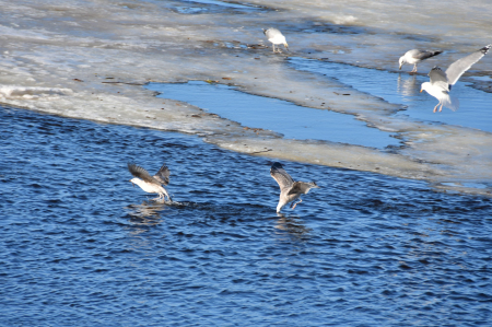 Marta vidū Latvijā vismazāk lijis Jēkabpilī