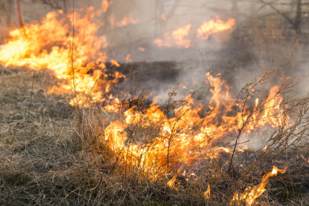 Otrdien Jēkabpilī dzēsti trīs kūlas ugunsgrēki