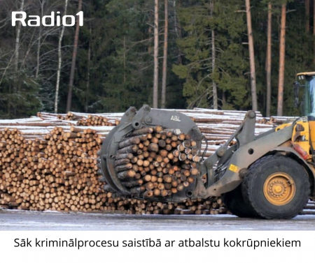 Sākts kriminālprocess par iespējamiem noziegumiem saistībā ar atbalstu kokrūpniekiem