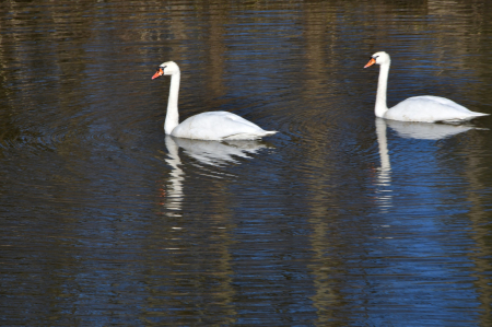 Šonedēļ lielu izmaiņu laikapstākļos nebūs; Lieldienās varētu kļūt siltāks; Ūdens līmenis Daugavā vēl nepazeminās