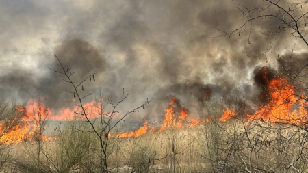 Jēkabpilī dzēsts paaugstinātas bīstamības kūlas ugunsgrēks