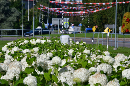 Sākas Jēkabpils pilsētas svētku – “Divi krasti, viena sirds!” - nedēļa, pasākumi katru dienu (PROGRAMMA)