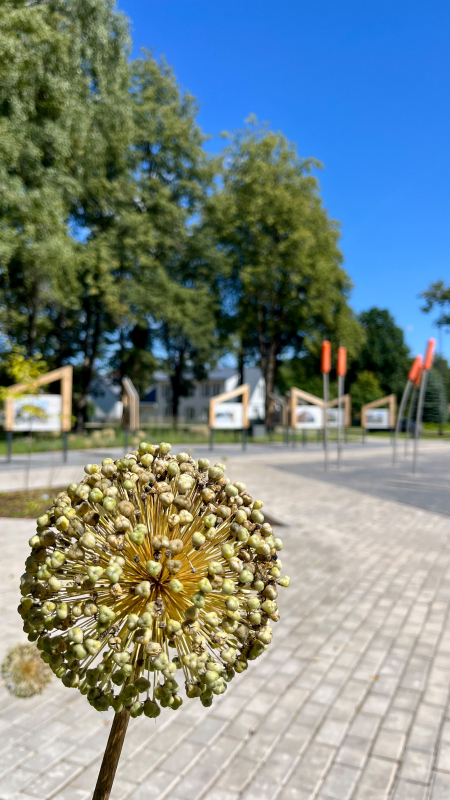 Augusta otrā puse sāksies ar mainīgiem laikapstākļiem