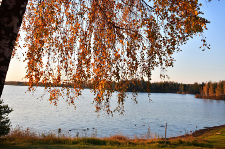 Šonedēļ gaidāmi tipiski rudenīgi laikapstākļi